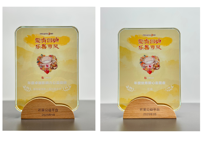 图为芒果公益奖牌