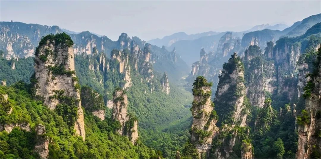 图为张家界