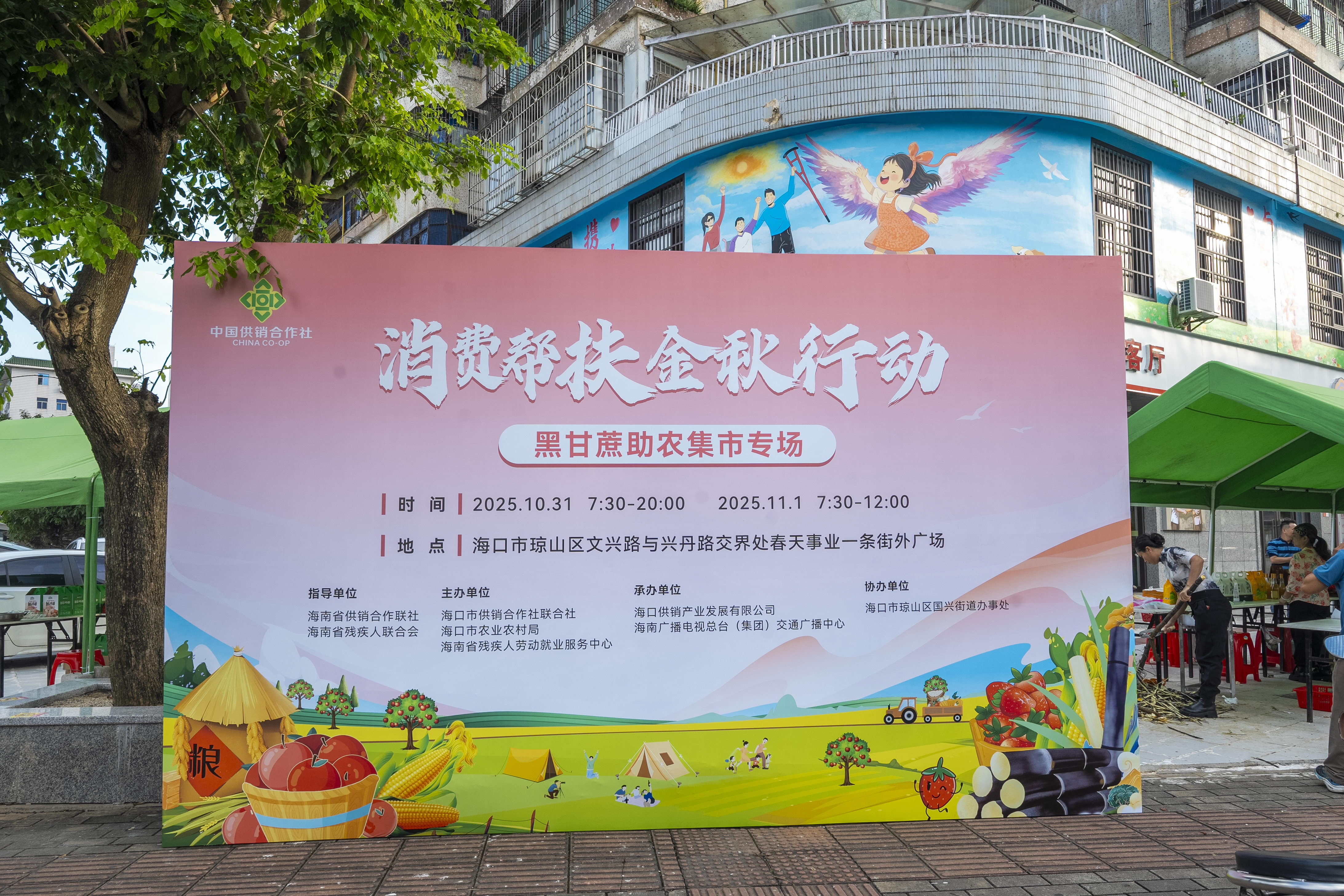 图片为现场活动图片