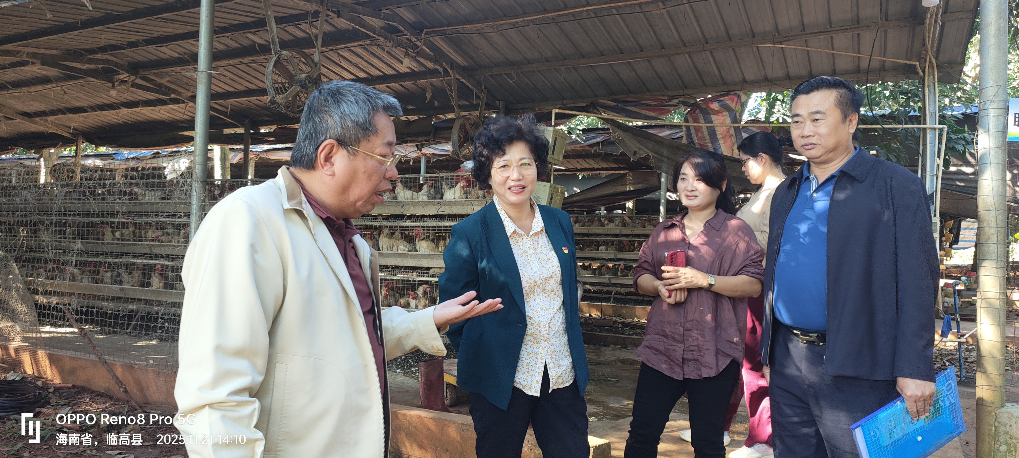 图片为宣讲活动现场图片