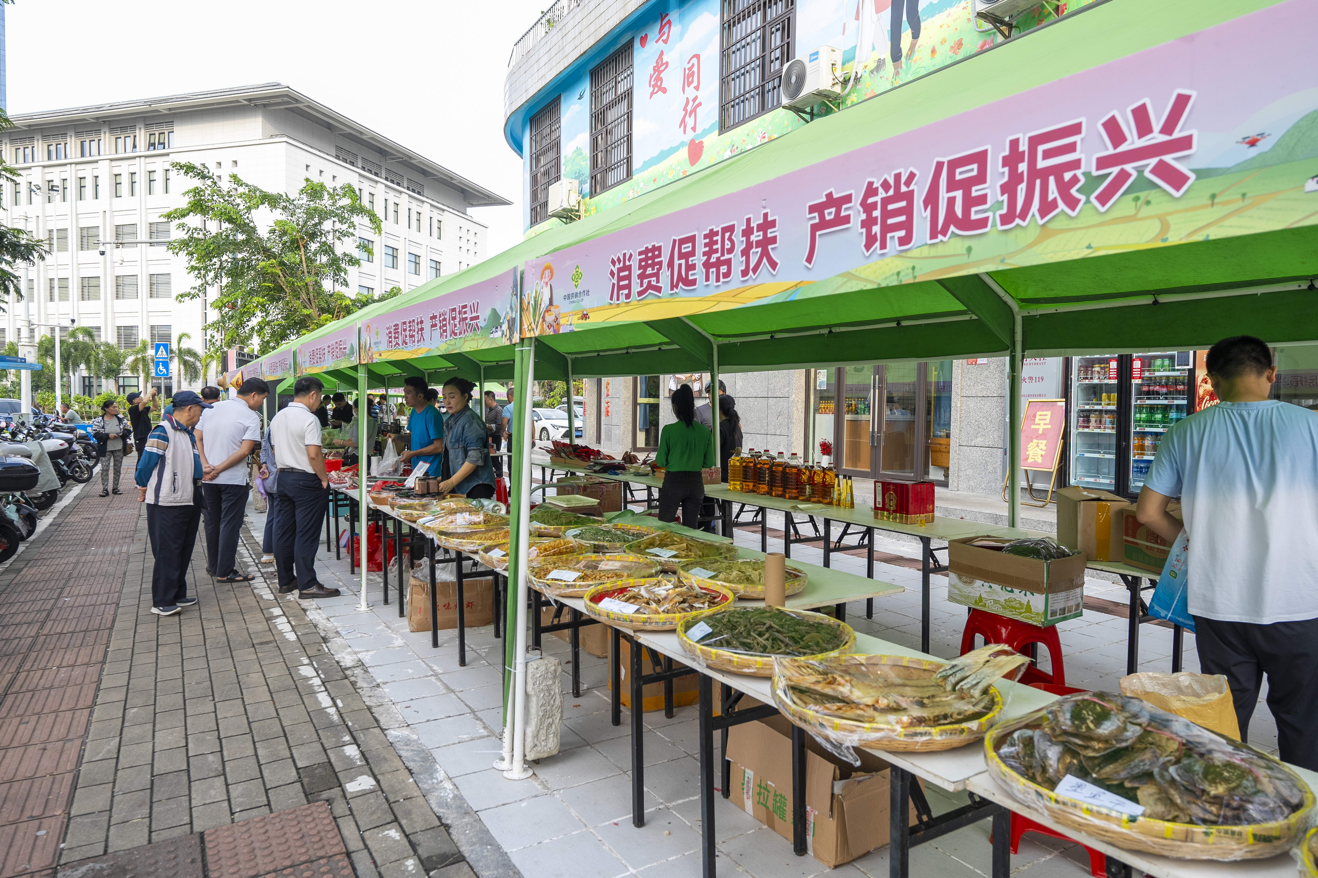 图片为现场活动图片