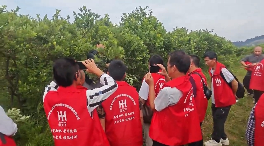 图片为实训现场 图片为实训现场